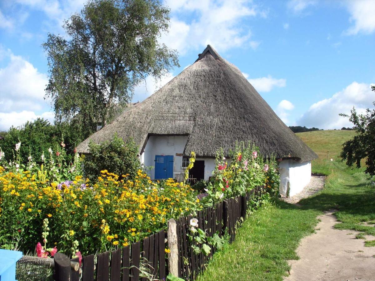 Ferienhaus Zum Boddenstrand Mit Ka Groß Zicker Bagian luar foto